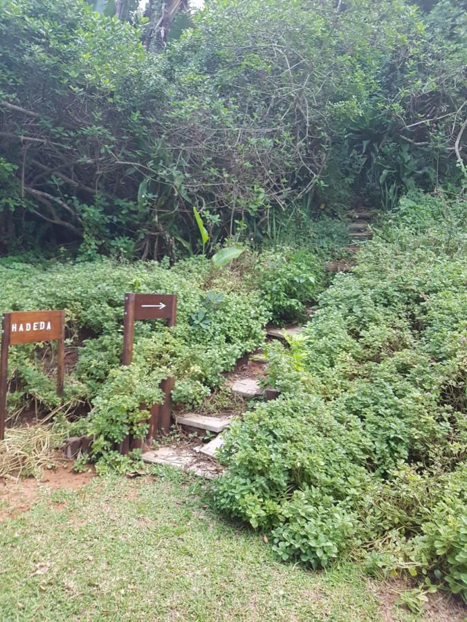 Ballito 69 Perissa Santorini Sea View, Walk To Beach -Family Only מראה חיצוני תמונה